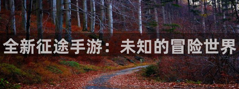 完美电竞开奖官网查询中奖号码：全新征途手游：未知的冒险世界