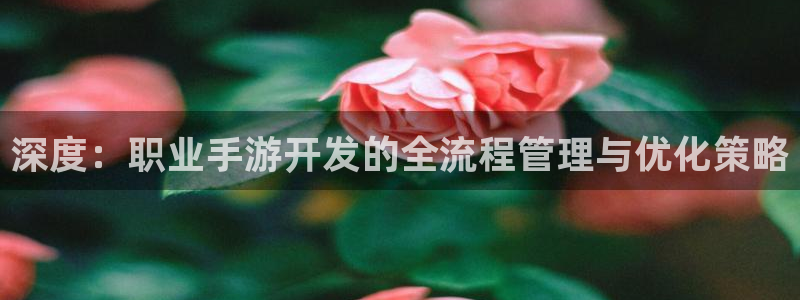 28大神怎么了：深度：职业手游开发的全流程管理与优化策略