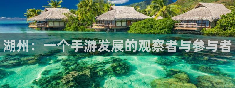 28大神用不了了：湖州：一个手游发展的观察者与参与者