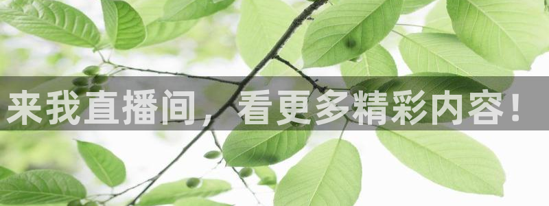 雨燕360体育：来我直播间，看更多精彩内容！