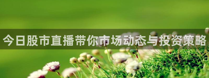 360体育足球直播平台：今日股市直播带你市场动态与投资策略