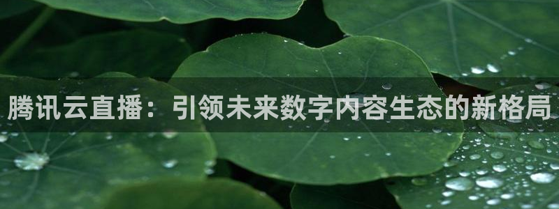 360体育直播无插件：腾讯云直播：引领未来数字内容生态的新格局