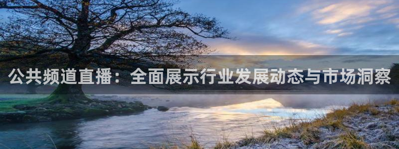 360直播免费观看球赛最新消息：公共频道直播：全面展示行业发展动态与市场洞察
