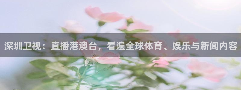 雨燕360体育直播免费：深圳卫视：直播港澳台，看遍全球体育、娱乐与新闻内容