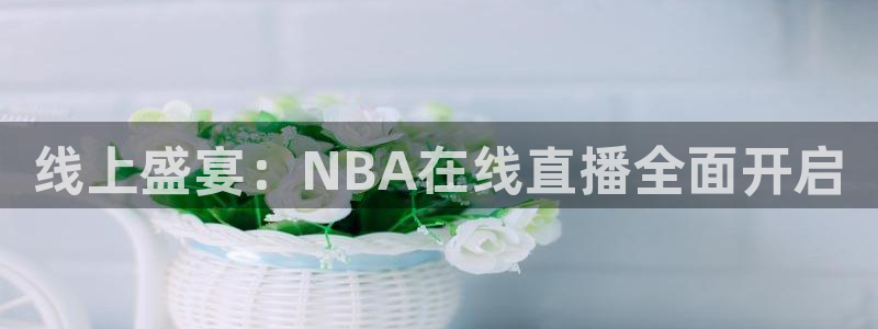 360直播(无插件)直播体育：线上盛宴：NBA在线直播全面开启