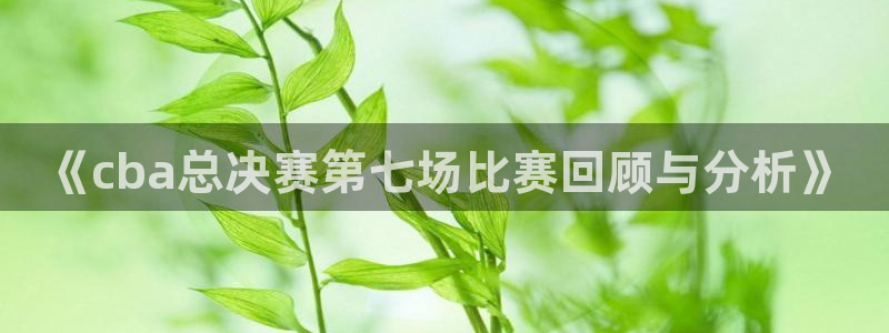 360体育直播英超：《cba总决赛第七场比赛回顾与分析》