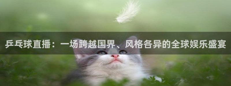 360直播足球直播在线直播：乒乓球直播：一场跨越国界、风格各异的全球娱乐盛宴