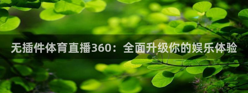 360视频直播体育：无插件体育直播360：全面升级你的娱乐体验