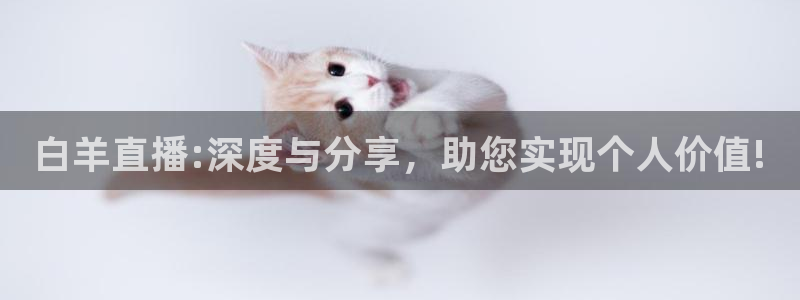 nba火箭比赛直播360：白羊直播:深度与分享，助您实现个人价值!