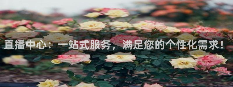 360直播网 足球直播：直播中心：一站式服务，满足您的个性化需求！