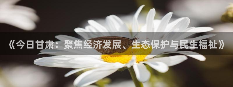 体育直播360直播吧：《今日甘肃：聚焦经济发展、生态保护与民生福祉》
